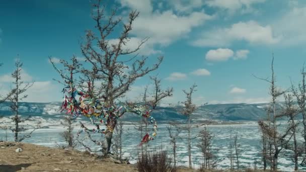 Wood with multi-colored ribbons of fabric. Religious place on Lake Baikal — стоковое видео