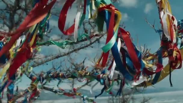 Wood with multi-colored ribbons of fabric. Religious place on Lake Baikal — Vídeo de stock