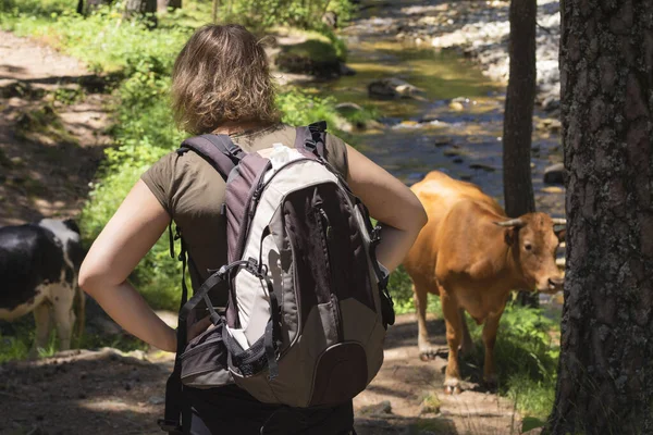 Kıvırcık saçlı, sırtı dönük, elleri kalçasında dinlenen, sırt çantası taşıyan, nehir kenarındaki dağ ormanlarında otlayan kahverengi ineği izleyen bir sarışın kadın..