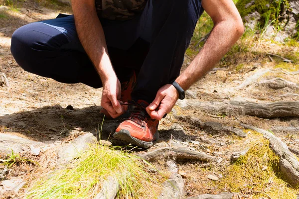 adult male walker crouching in blue pants and a close-up of his hands tying the laces of his red sneakers on some roots in a forest, after walking along the mountain paths.