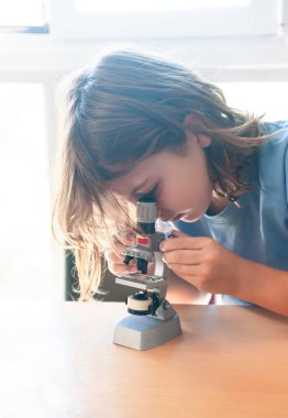 Girl with long brown hair looking at a specimen through a school microscope and adjusting it, on a study table with a window in the background.