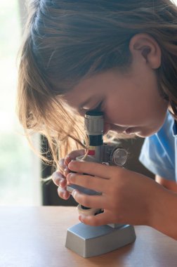 Girl with long brown hair looking at a specimen through a school microscope and adjusting it, on a study table with a window in the background.