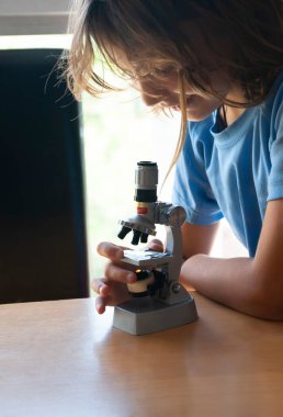 Girl with long brown hair looking at a sample through a school microscope on a study table with a window in the background.