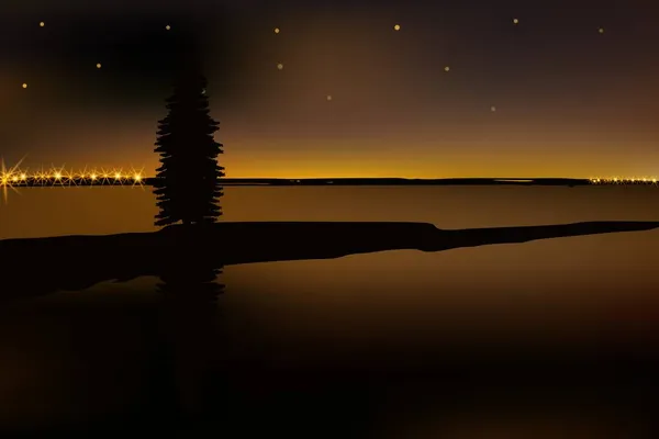Krásná Noc Vodou Odrážející Hvězdnou Oblohu Osamělým Stromem Vzdálenými Blikajícími — Stockový vektor