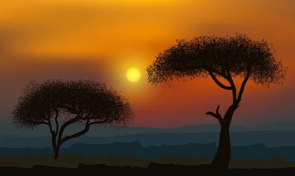Африканские Деревья Акации Фоне Золотого Заката — стоковый вектор