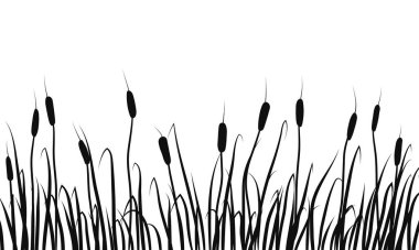 Silhouette of reeds, rushes and marsh grass on white background. clipart