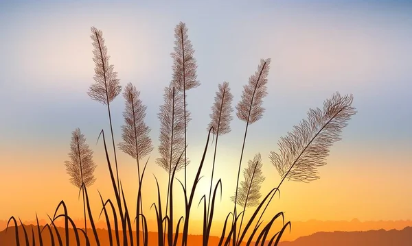 Reeds Background Golden Sunset Far Rock — Stockový vektor