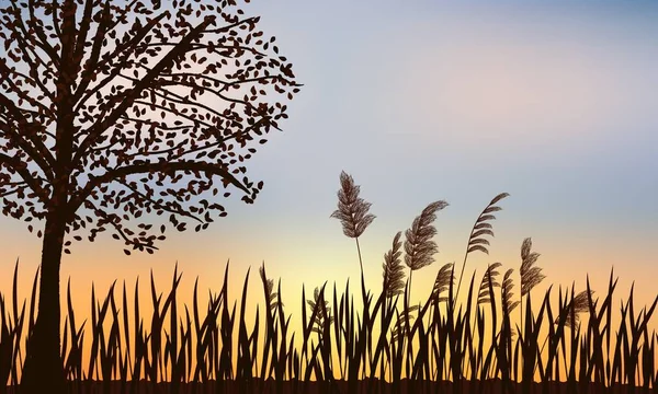 美しい夕日を背景に 秋の木 草のシルエット ストックイラスト