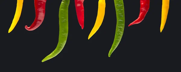 Pimenta Quente Colorida Sobre Fundo Escuro Pimenta Alimentos Com Vitaminas — Fotografia de Stock