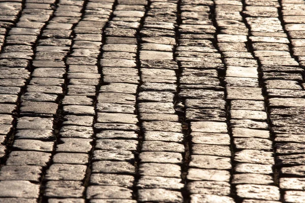 Pavement Close Sunlight — Stock Photo, Image