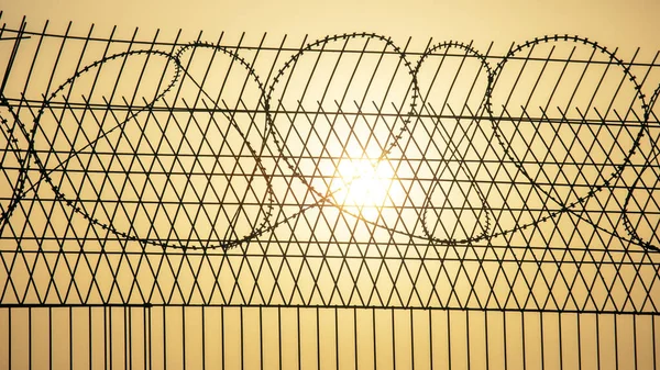 Barbed wire wall against the backdrop of the setting sun. The metaphor of slavery and the search for freedom. Restricted area. Border line of the territory