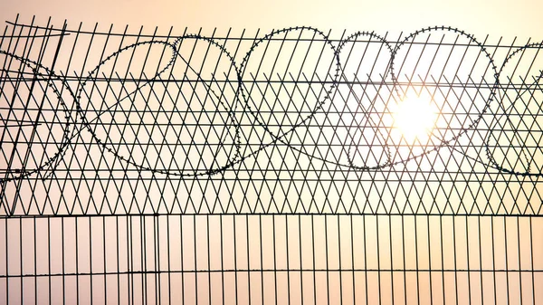 Barbed wire wall against the backdrop of the setting sun. The metaphor of slavery and the search for freedom. Restricted area. Border line of the territory