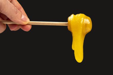 Tahta kaşıktan düşen taze, yapışkan bir çiçek balı. vitamin organik gıdalar