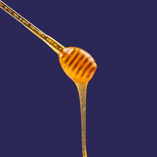 新鲜芬芳的蜂蜜滴 有机维生素营养 甜点食品 — 图库照片