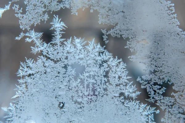 Padrões Gelados Janela Vidro Closeup Texturas Naturais Fundos Padrões Gelo — Fotografia de Stock