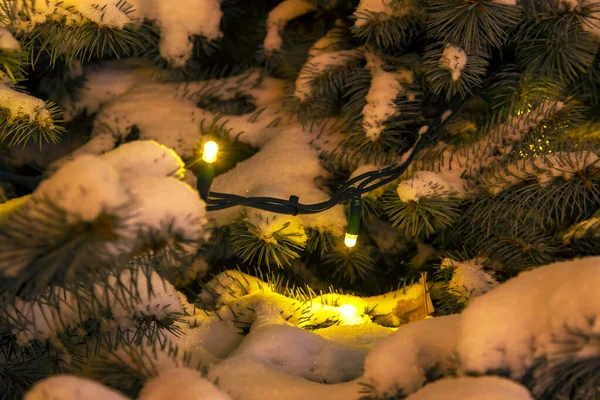 Χιονισμένα Κλαδιά Ελάτης Διακοσμητικά Περιλαμβάνονται Χριστουγεννιάτικες Γιρλάντες Νύχτα — Φωτογραφία Αρχείου