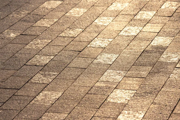 Тротуарная Плитка Закрывается Солнечном Свете — стоковое фото