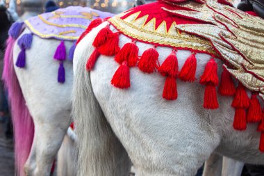 Süslü panço pelerini atın arkasında.