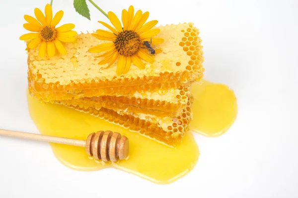 Taze çiçek taraklı bal ve tahta kaşık. Yaşam ve sağlık için vitamin gıdası