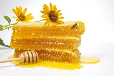 Taze çiçek taraklı bal ve tahta kaşık. Yaşam ve sağlık için vitamin gıdası