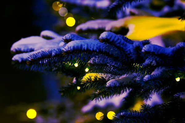 눈덮인 전나무 가지에는 크리스마스 복장을 있었다 — 스톡 사진