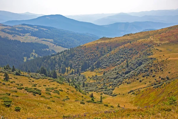 Morgenlandschaft Den Hängen Der Karpaten Ukraine — Stockfoto