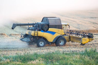 Buğday hasadını tarlada birleştirin. tarım ve tahıl endüstrisi