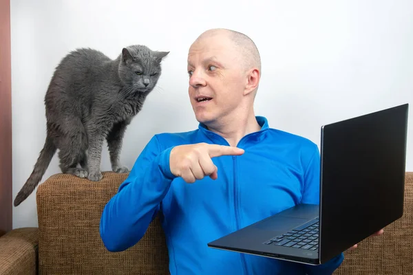 man with a gray cat looks at a laptop screen. freelancer business works at home. relationship with a cat