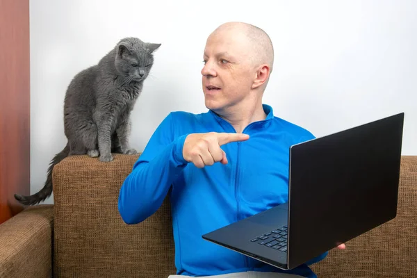 man with a gray cat looks at a laptop screen. freelancer business works at home. relationship with a cat