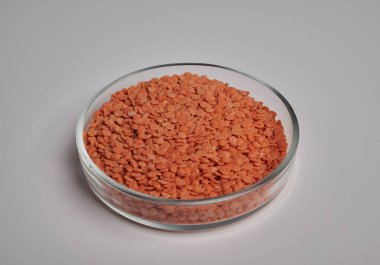 Bardağın İçindeki Kırmızı Mercimek Petri Çanağı