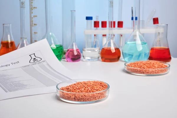 Relatório Tóxico para Lentilhas Vermelhas em Petri Dish - Foto Labs — Fotografia de Stock