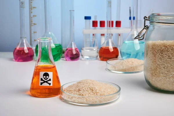 Rijst in Petri schotel - Toxic Lab Foto — Stockfoto