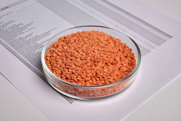 Toxic Paper Report for Red Lentils in Petri Dish