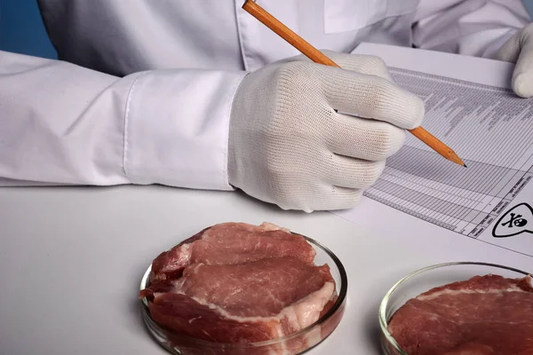 Foto del rapporto tossico veterinario Meat Petri — Foto Stock