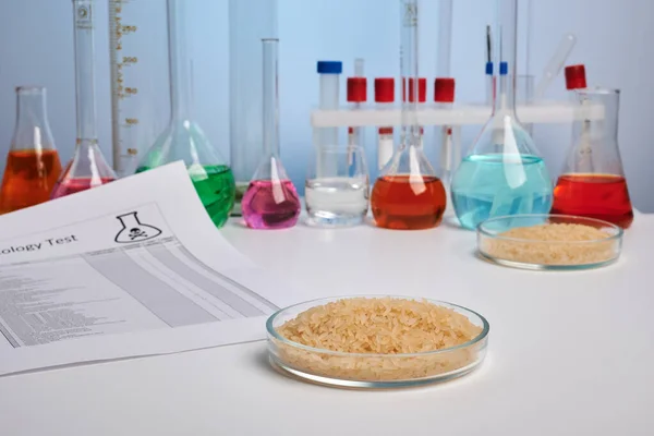 Τοξική έκθεση για το ρύζι στο Petri Dish - Lab Photo — Φωτογραφία Αρχείου