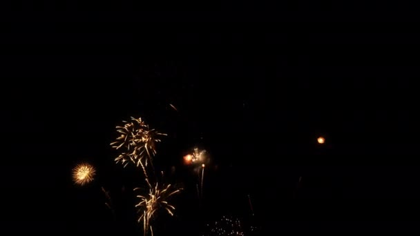 Beautiful Fireworks Celebration Christmas New Year Concept — Stock Video