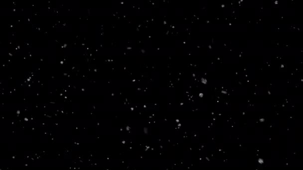 Zware Sneeuwval Met Alfa Kanaal Naadloos Lussen — Stockvideo