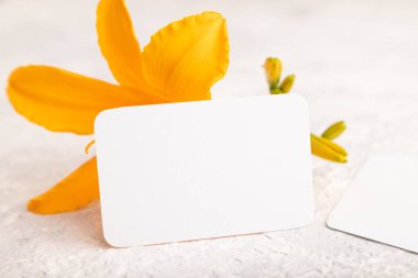 Beyaz kağıt kartvizit modeli, gri beton arka planda turuncu zambak çiçeği. Boş, yan görüş, kopyalama alanı, natürmort hayat. bahar konsepti.