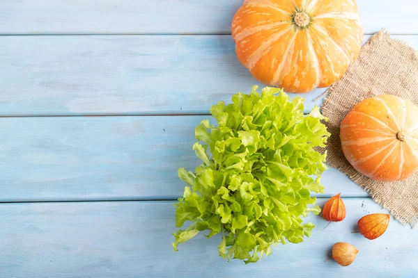 Mikrogrüne Salatsprossen Mit Kürbis Auf Blauem Holzgrund Draufsicht Flache Lage — Stockfoto