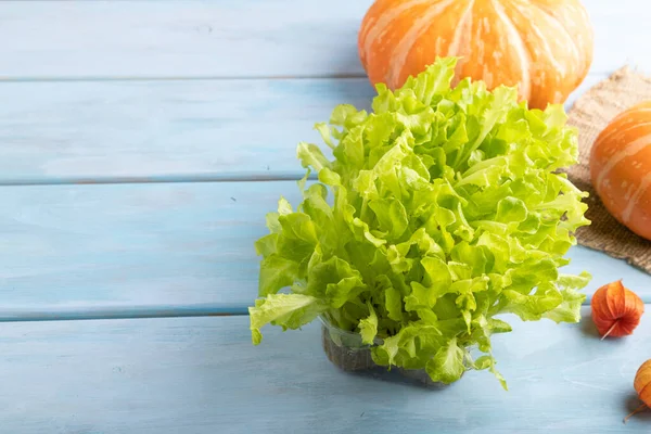 Mikrogrüne Salatsprossen Mit Kürbis Auf Blauem Holzgrund Seitenansicht Kopierraum Nahaufnahme — Stockfoto