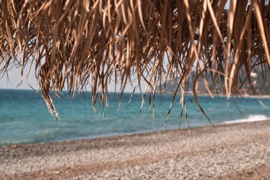 Gökyüzünün arka planına karşı bej ve kuru palmiye ağaçları, mavi deniz ve insansız sahil şeridi. Metnin için alanı kopyala, yumuşak odak
