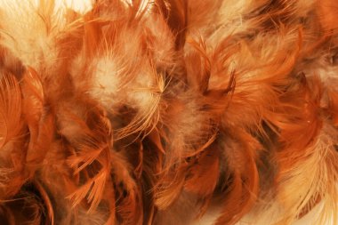 Kırmızı kahverengi toz bezi detay dokusundan oluşan fotoğraf stüdyosu