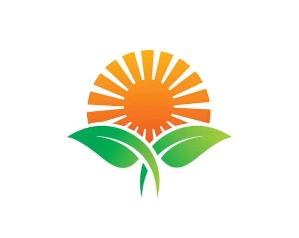 Símbolo Del Icono Plantilla Logo Agricultura — Vector de stock