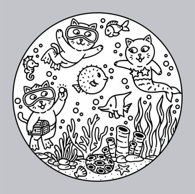 Şirin kedi denize dalıyor