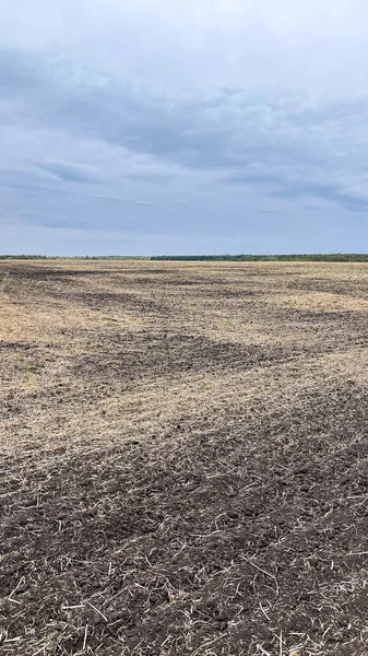 Kuru tarlalar hasat sonrası kış için hazırlanıyor.