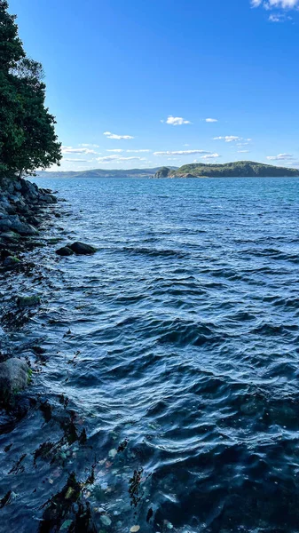 Rivage Mer Japonaise Avec Beaux Arbres Des Pierres — Photo