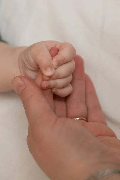 Mother Holds Baby Hand — стоковое фото