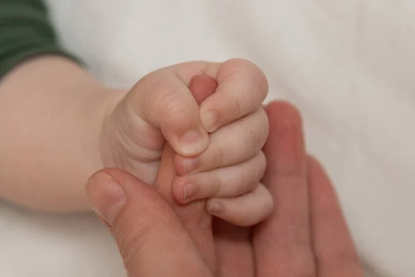 Mother Holds Baby Hand — Foto de Stock