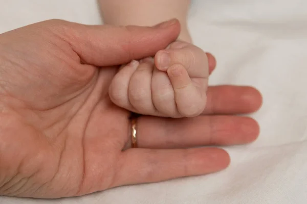 Madre Sostiene Bebé Por Mano — Foto de Stock