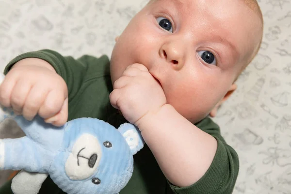 小さな3ヶ月の赤ちゃんが手に柔らかいおもちゃを持っていて — ストック写真